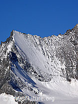 F051611: Portrait Lenzspitze