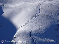 F051626: Alpinisten im Aufstieg zum Weissmies