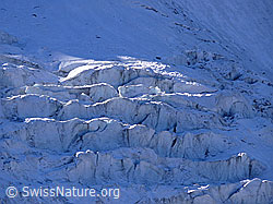 F051631: Gletscherabbruch im Triftgletscher
