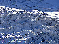 F051639: Gletscherabbruch mit Licht und Schatten