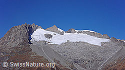 F051941: Fusshörner und Geisshorn