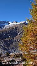F052006: Herbstbild