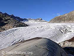 F052220: Gletscherlandschaft Rhonegletscher