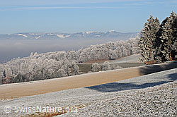 F054381: Morgenstimmung mit Raureif