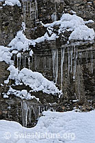 F054632: Eiszapfen und Schnee in Nagelfluhwand