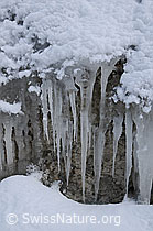 F054651: Eiszapfen und Schnee