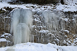 F054659: Nagelfluhstufe mit kleinem Eisfall und Eiszapfen