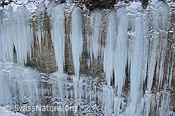 F054666: Eiswand aus Eiszapfen