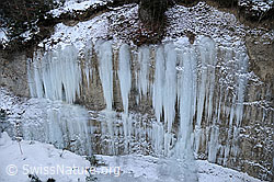 F054667: Nagelfluhwand mit langen Eiszapfen