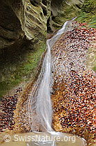 F054719: Wasserfall in kleiner Schlucht