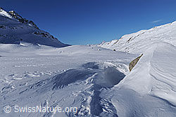 F055569: Schneeverwehung um einen Felsblock