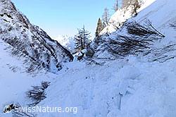 F055688: Nassschneerutsch