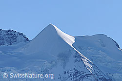 F056246: Silberhorn und Goldenhorn