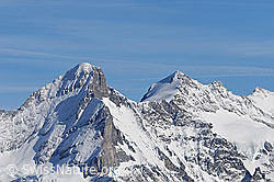 F056252: Wetterhorn, Mittelhorn und Rosenhorn