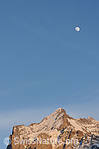 F056359: Wetterhorn und Mond im Abendlicht