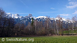 F056858: Auenwald und Stockhorn