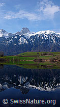 F056861: Berg mit Spiegelung