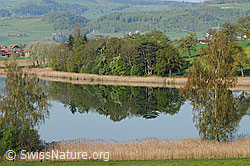 F057230: Klare Spiegelung im Gerzensee