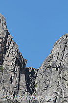 F058287: Scharte