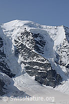 F058835: Piz Palü, Hauptgipfel und Bumiller-Pfeiler