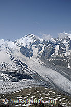 F058898: Piz Bernina, Piz Alv, Piz Prievlus und  Piz Morteratsch