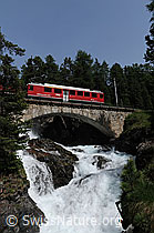 F059054: Berninabahn