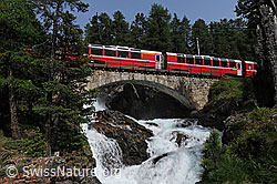 F059059: Brücke und Rhätische Bahn über Wasserfall