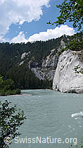 F059180: Rheinschlucht