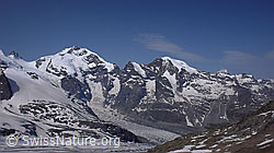 F059199: Piz Bernina und Piz Morteratsch