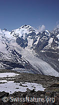 F059208: Piz Bernina und Morteratschgletscher