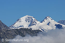 F059399: Mönch, Trugberg und Eiger