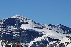 F059423: Chaltwassergletscher und Monte Leone