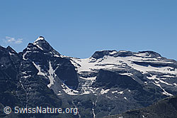 F059443: Helsenhorn und Helsegletscher