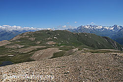 F059458: Breithorn und Alp Furggerchäller