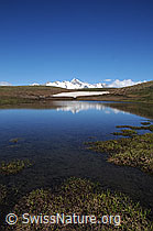 F059460: Bergsee