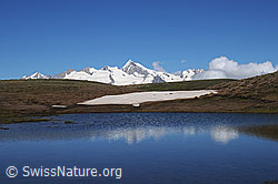 F059466: Geisshorn und Aletschhorn
