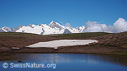 F059604: Bergsee und Alpen