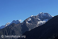 F060385: Fletschhorn, Lagginhorn und Weissmies von SW