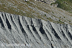 F060393: Seitenmoräne Hohlaubgletscher