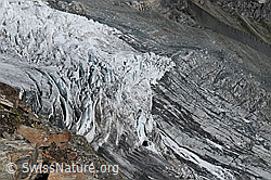 F060410: Gletscherzunge Allalingletscher