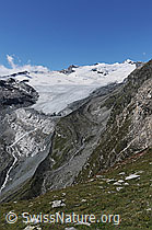 F060432: Schwarzberggletscher