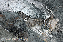 F060448: Zunge des Hohlaubgletschers
