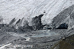 F060459: Gletschertor und Gletschervorfeld Schwarzberggletscher