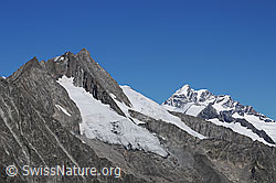 F061129: Kleines Dreieckhorn und Dreieckhorngletscher