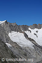 F061130: Sattelhorn und Mittelaletschgletscher