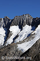 F061136: Fiescher Gabelhorn und Schönbühlhorn