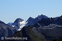 F061143: Witenwasserenstock und Pizzo Rotondo