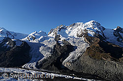 F061194: Breithorn