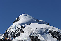 F061233: Pollux