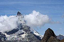 F061296: Matterhorn und Riffelhorn